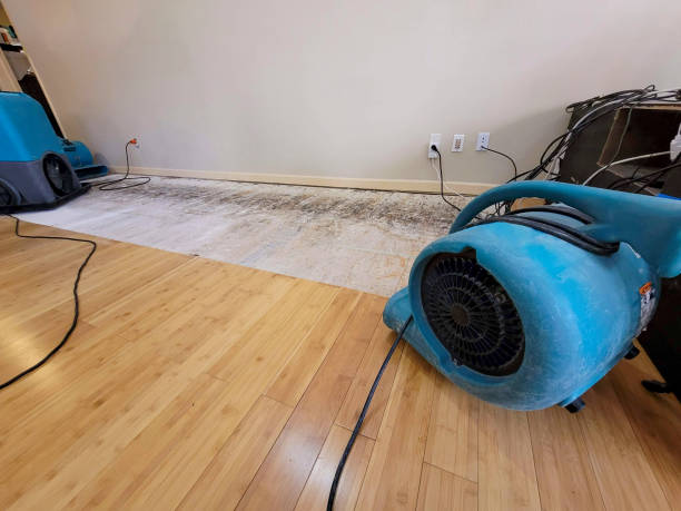 Professional Flood Damage Cleanup technician working in Oak Ridge, TN